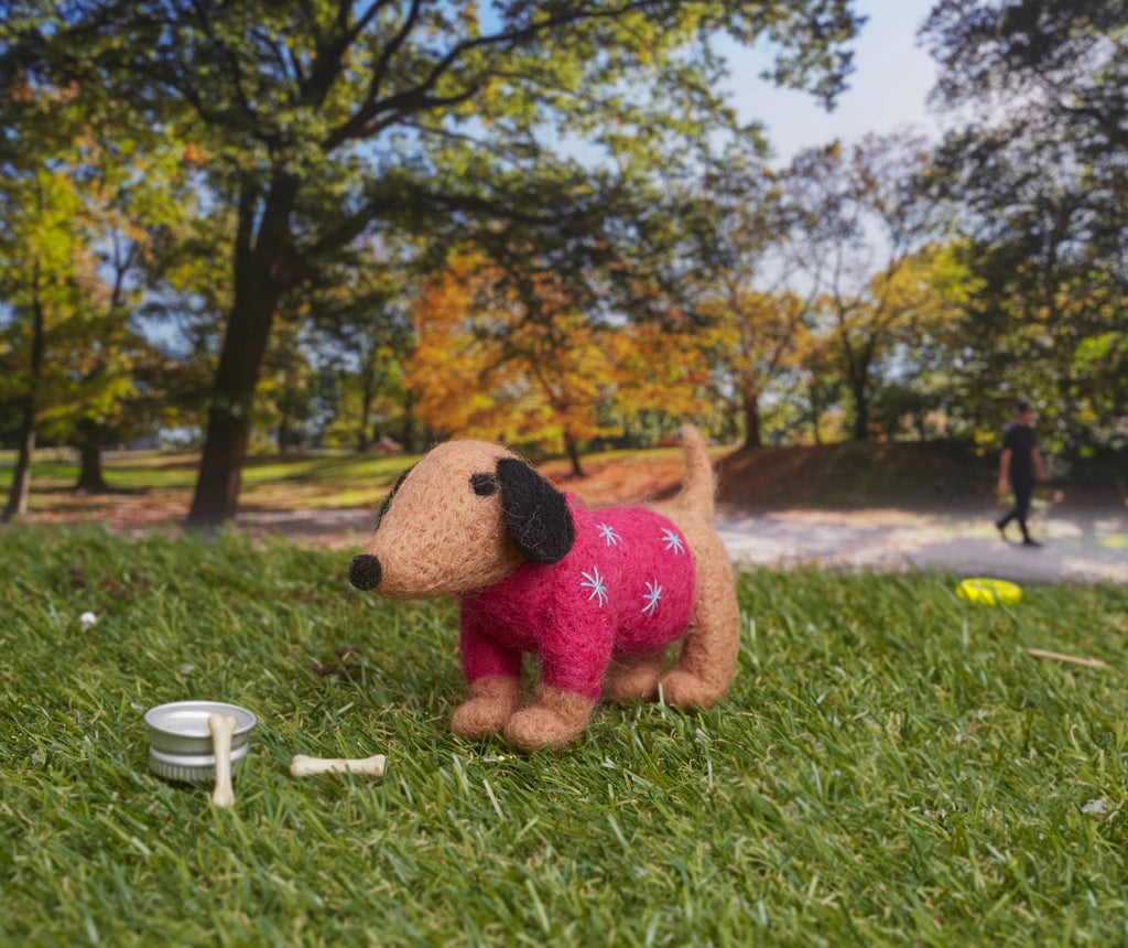 Needle Felting Sausage Dog In Jumper | Simply Make | DSM106652