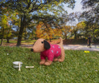 Needle Felting Sausage Dog In Jumper | Simply Make | DSM106652