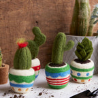 Needle Felting Cactus 4 Pack | Simply Make | DSM106604