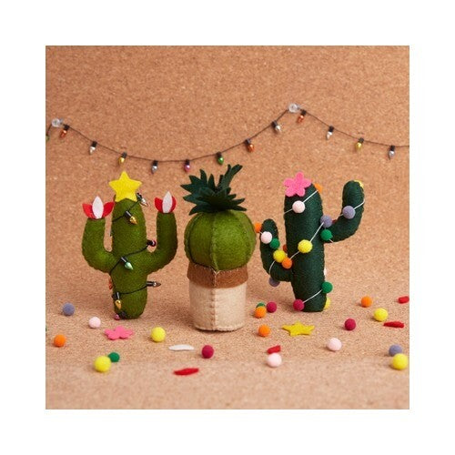 Needle Felting Cactus | Simply Make | DSM106139