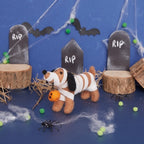 Needle Felting Mummy Dog | Simply Make | DSM106641