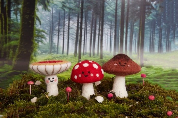 Needle Felting Toadstools Kit | Simply Make | DSM106645